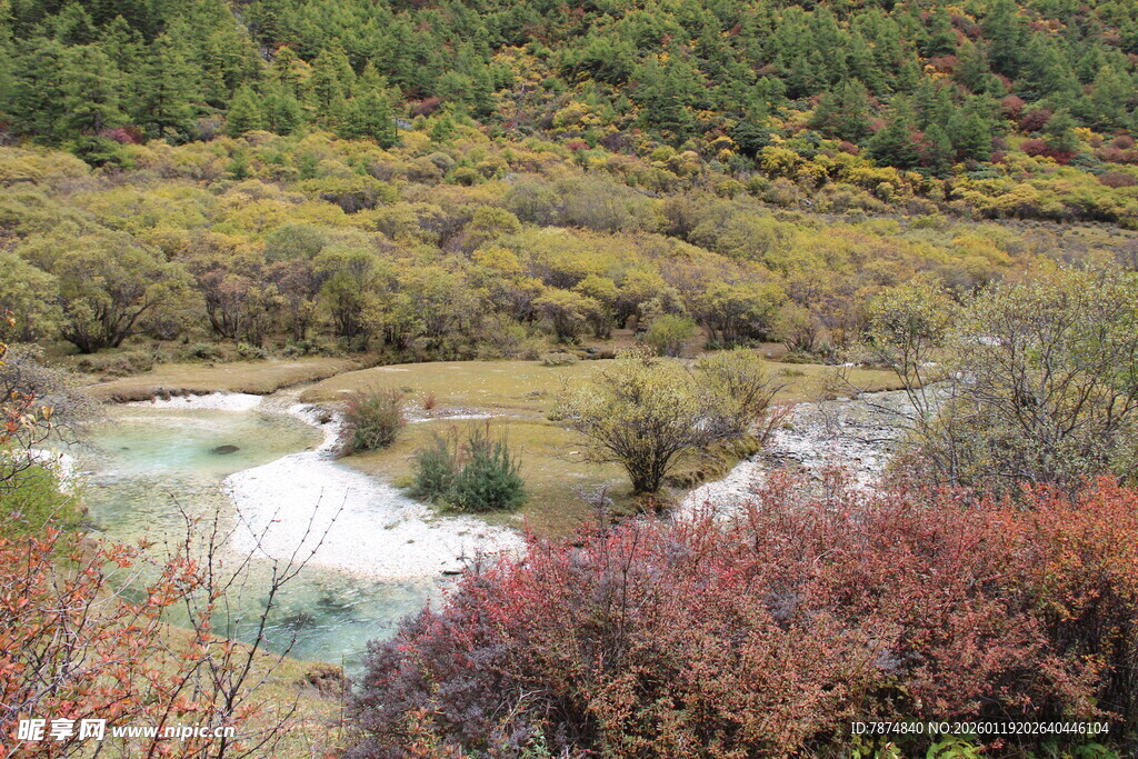 山间多彩溪流景观