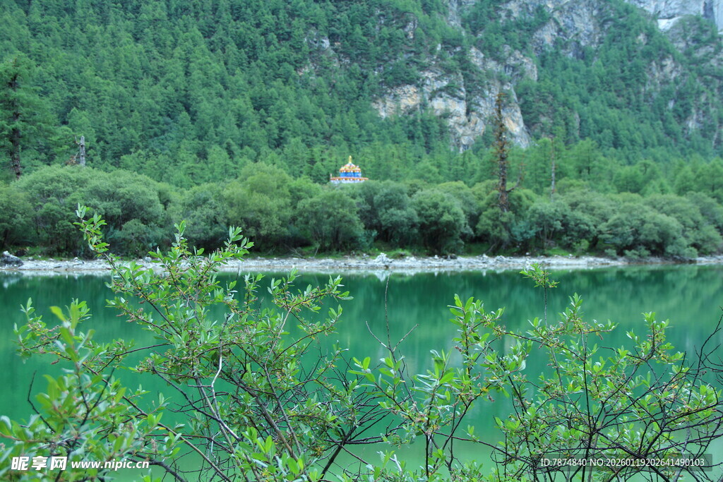 翠绿山林环绕的清澈湖泊
