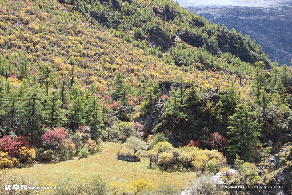 山间多彩秋景 自然之美