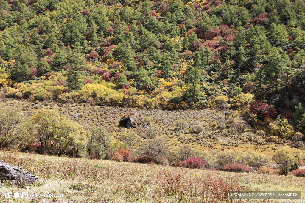 秋日山野间的多彩景致