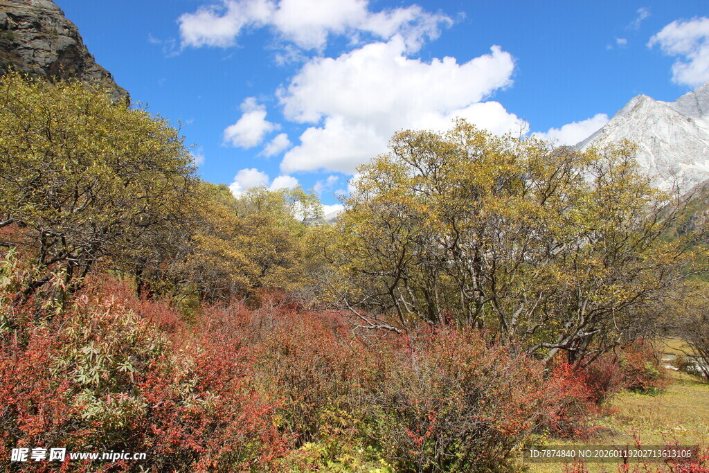 山间多彩植被与蓝天白云