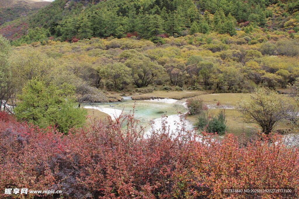 山间多彩植被与秀丽湖泊