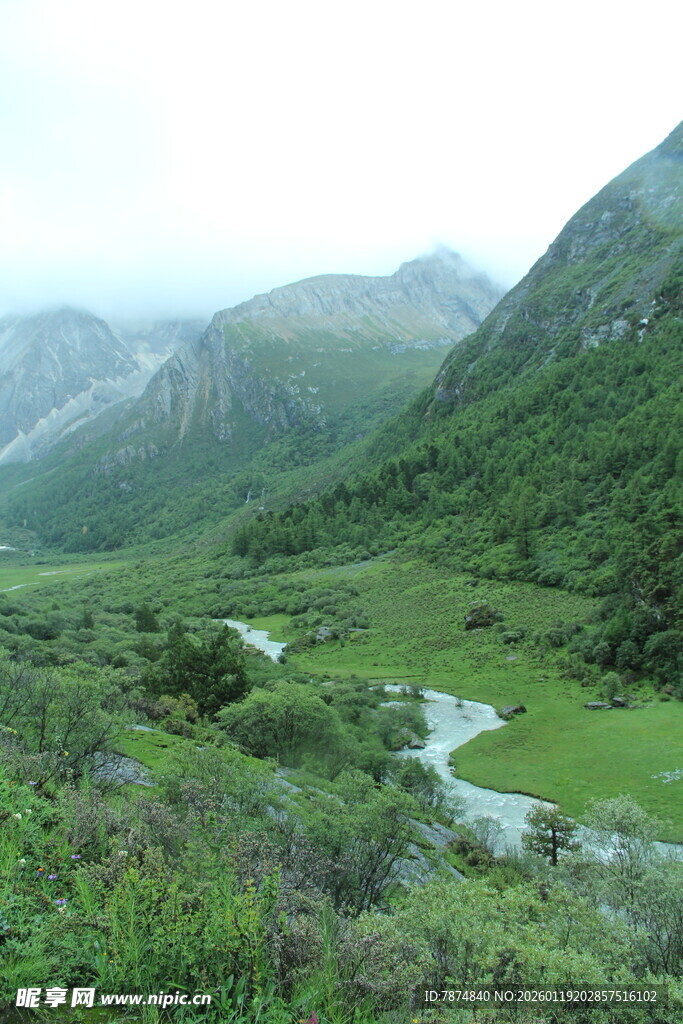 山间绿野溪流美景