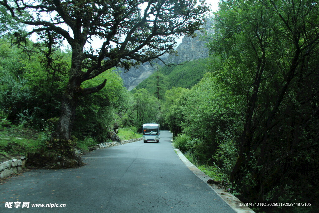 山间公路上行驶的白色车辆