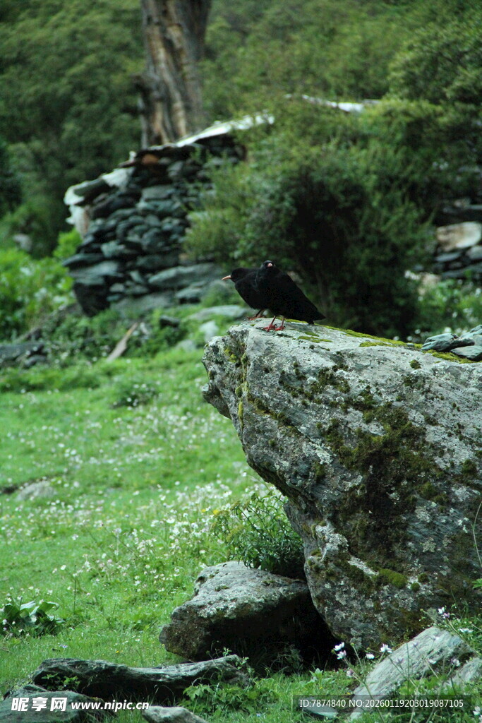 山间石景与绿意盎然景致