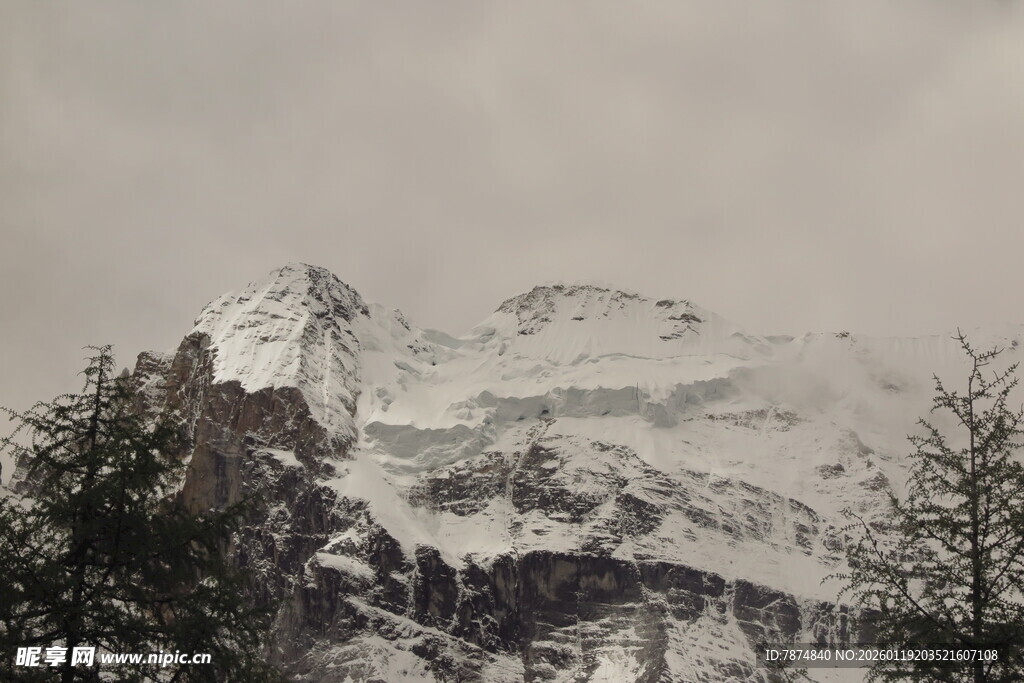 雪覆山峦与树木景观