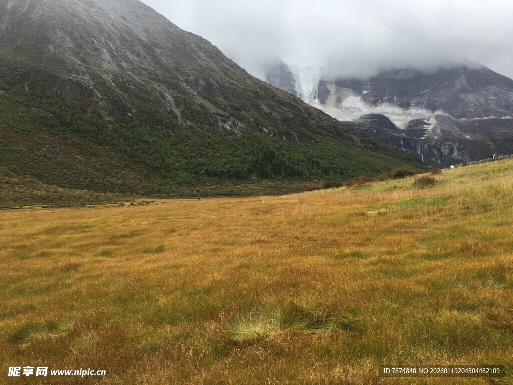 山间草地 云雾缭绕之景