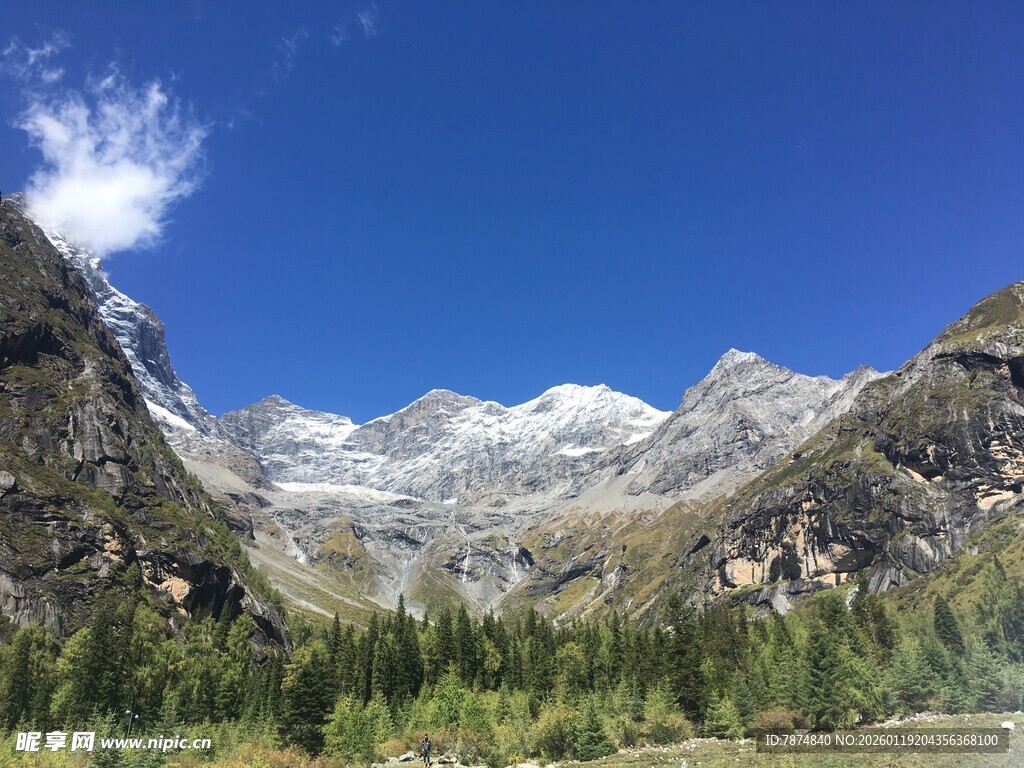 壮丽雪山下的葱郁山林