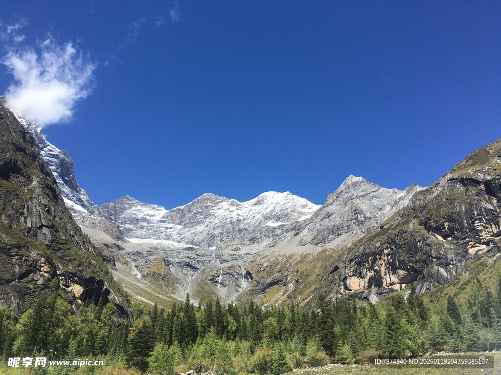 壮丽雪山下的葱郁山林