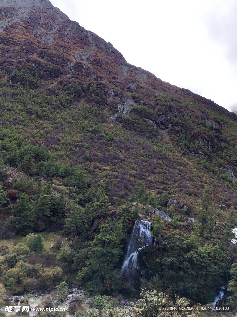 山间瀑布与葱郁植被景观