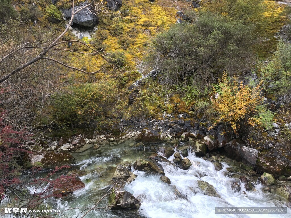 山间溪流秋景