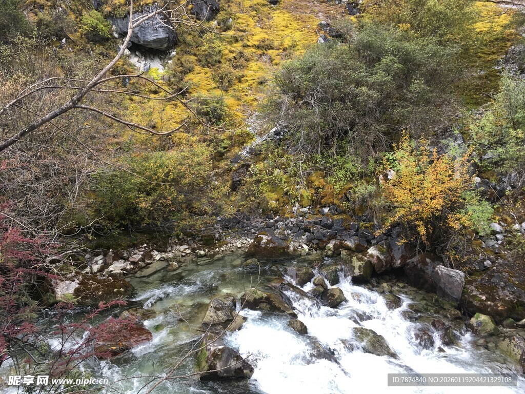 山间溪流与多彩植被景观