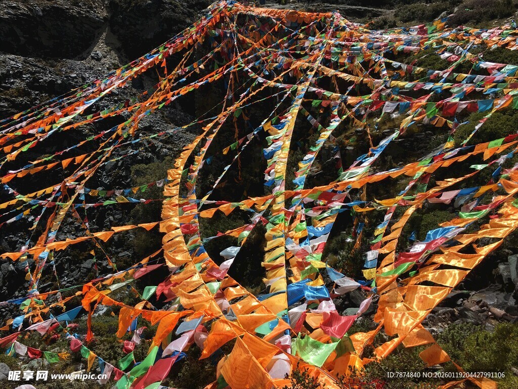 五彩经幡装点山间树