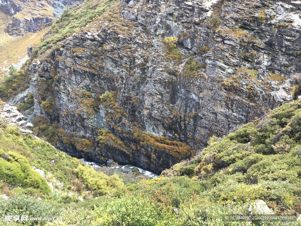 山间岩石与繁茂植被景观