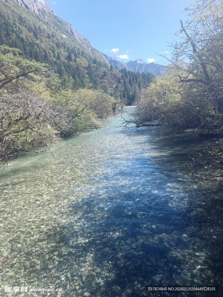 山间清澈溪流美景