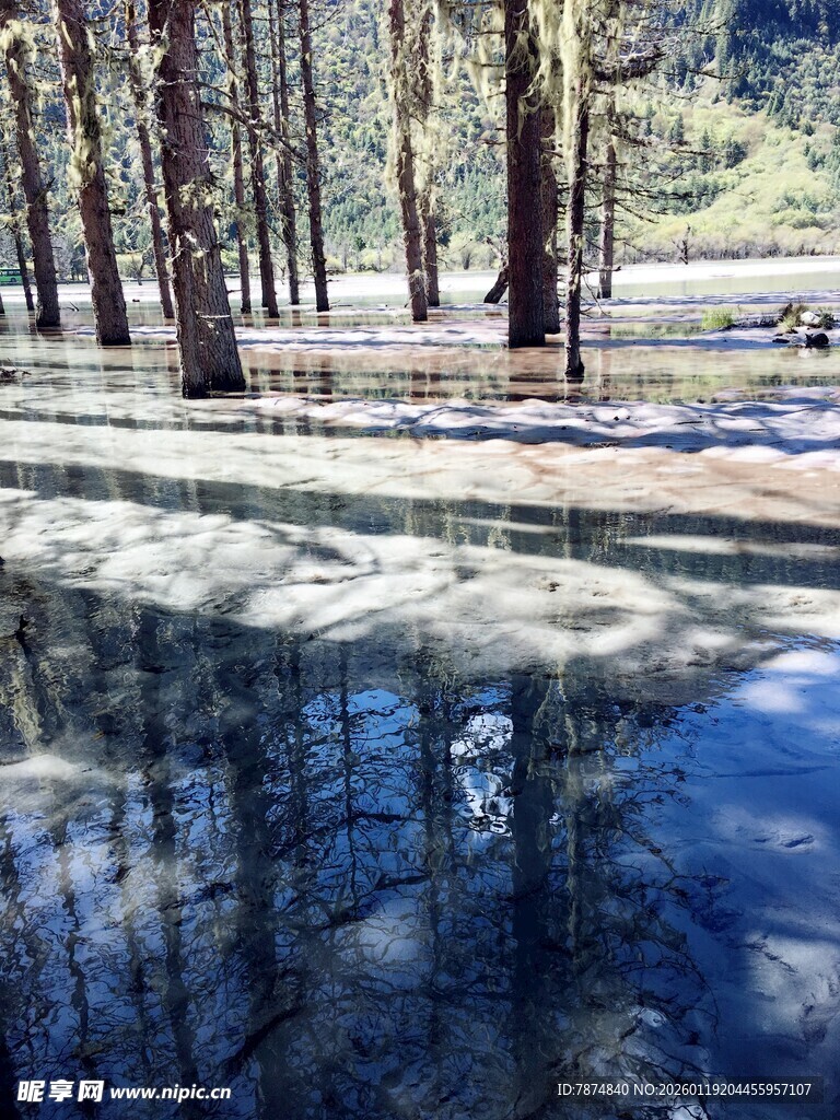 林间静谧湖水倒影美景