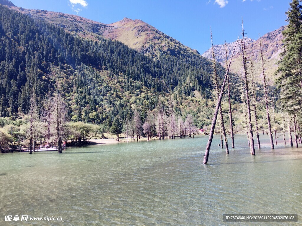 山间清湖水畔树木景致