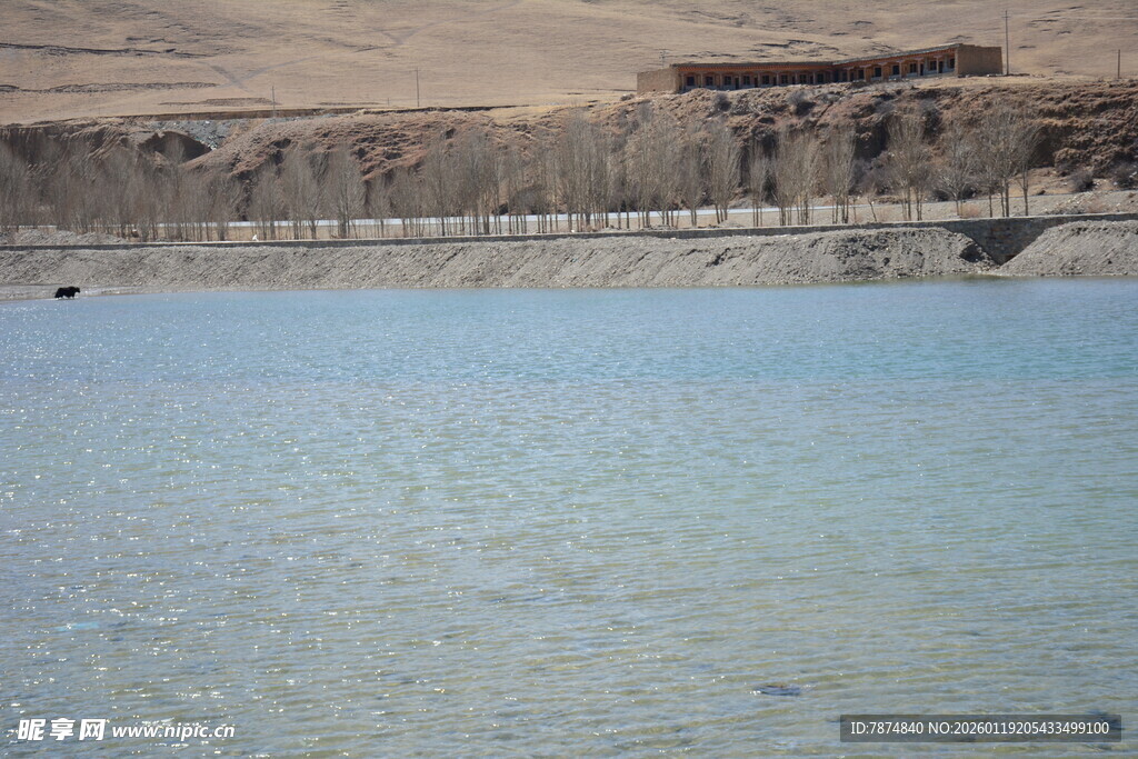 平静湖水与岸边景致