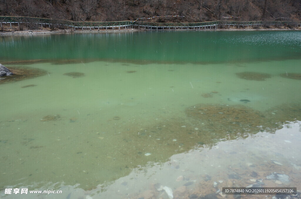 清澈碧绿的湖水近景