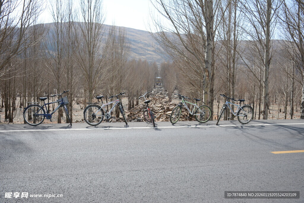冬日路旁停放的自行车群