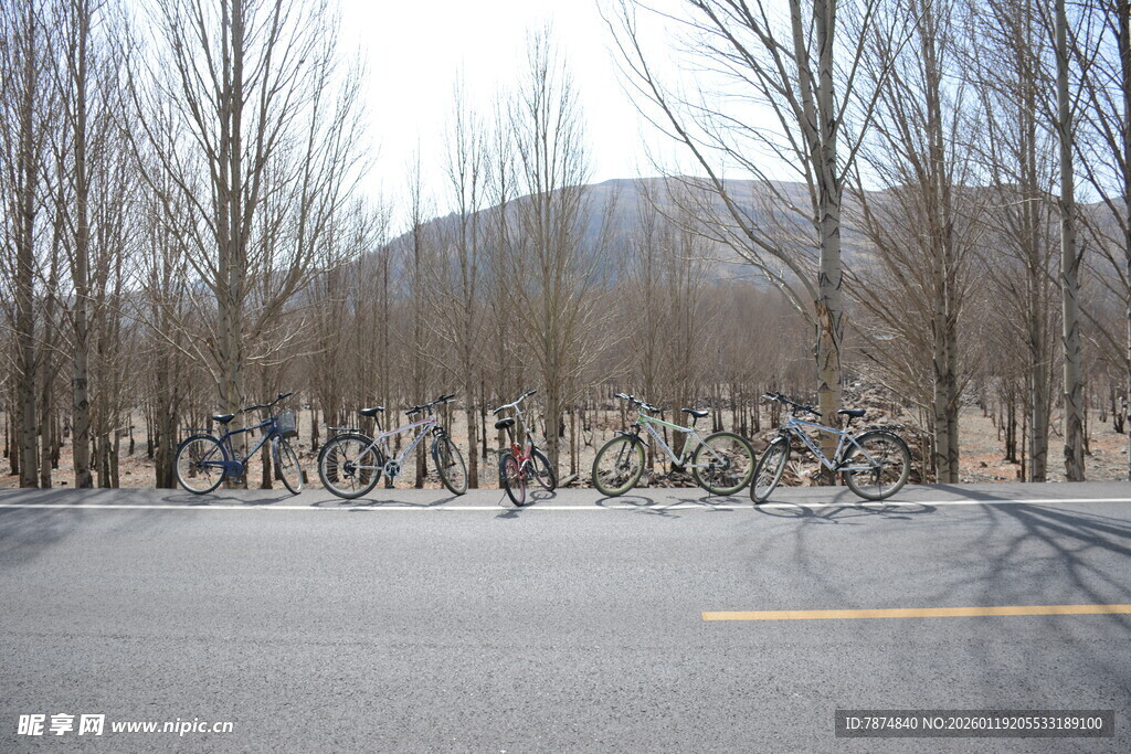 冬日路旁停放的自行车群