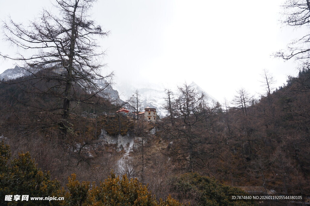 山间枯树与朦胧景致