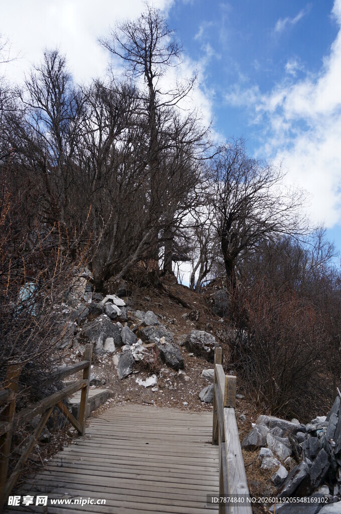 山间木栈道 自然好风光