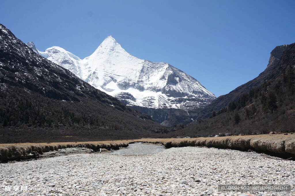 雪山下的开阔河谷景观