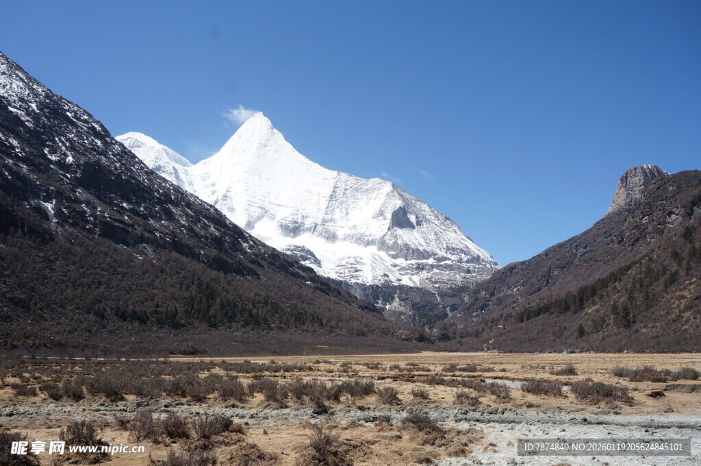 雪山下的开阔山谷风光