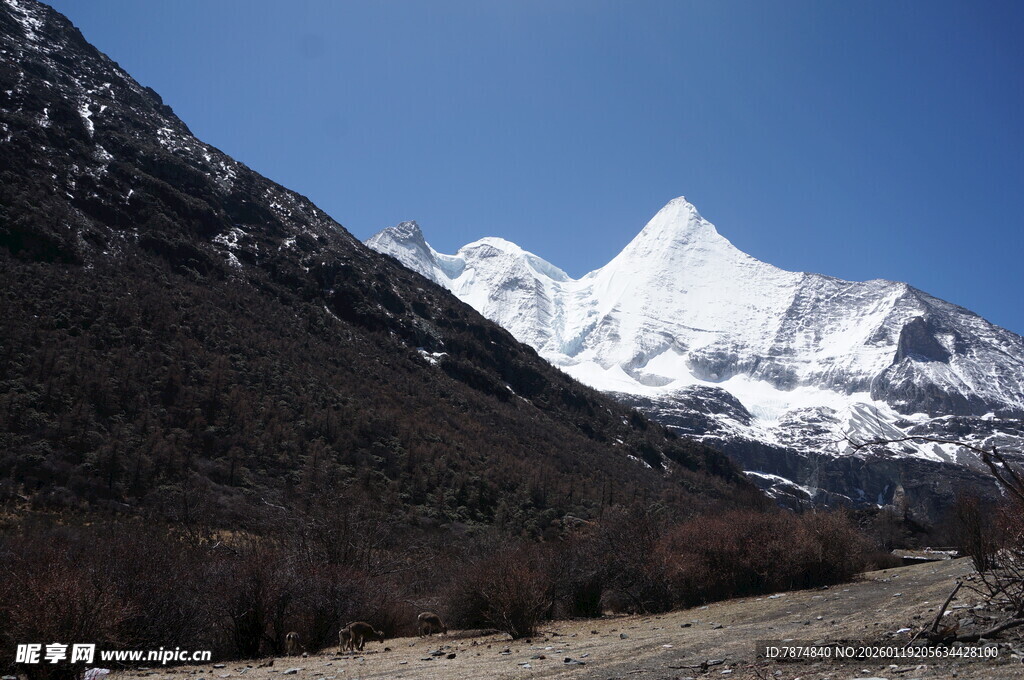 巍峨雪山壮丽景观