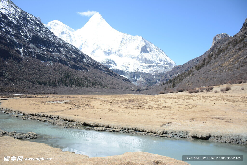 雪山下的河谷风光