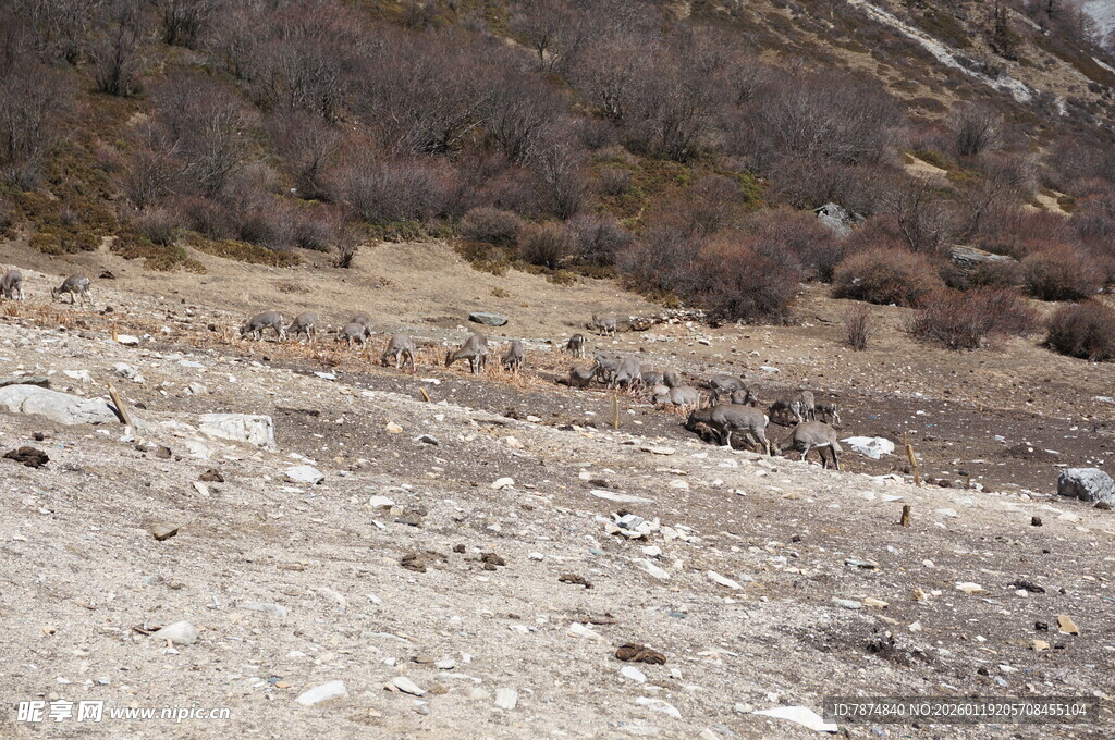 山间碎石地旁的人群景象