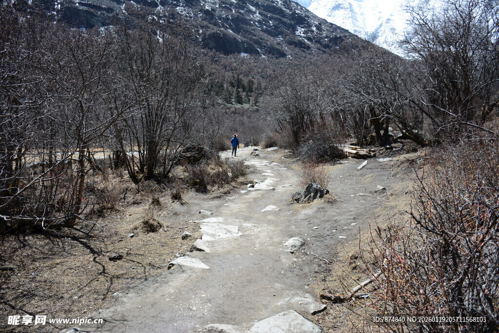 山间干涸河道景象