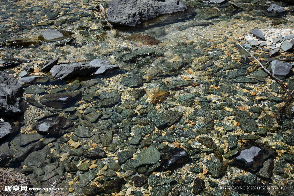 岩石上的多彩苔藓景观
