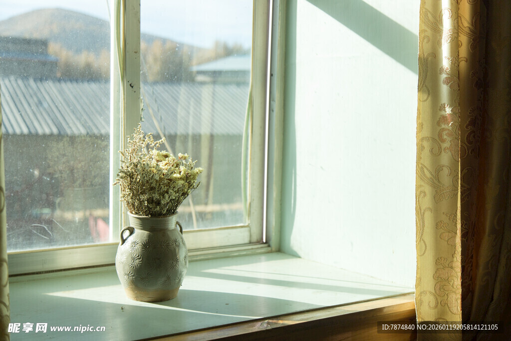 窗边花瓶 静享自然景致