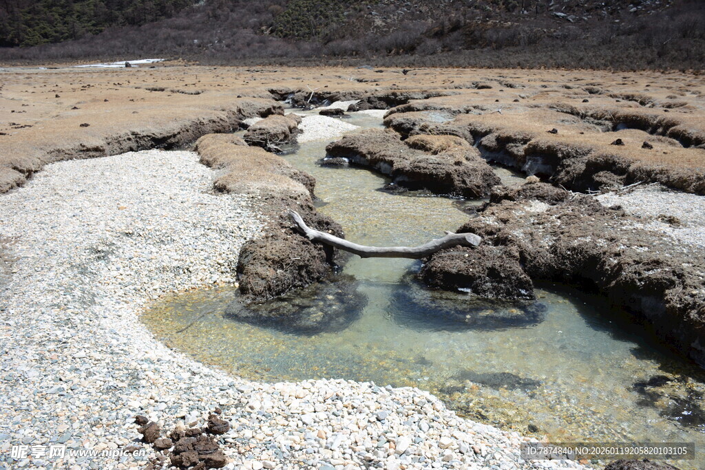 自然形成的岩石水坑景观