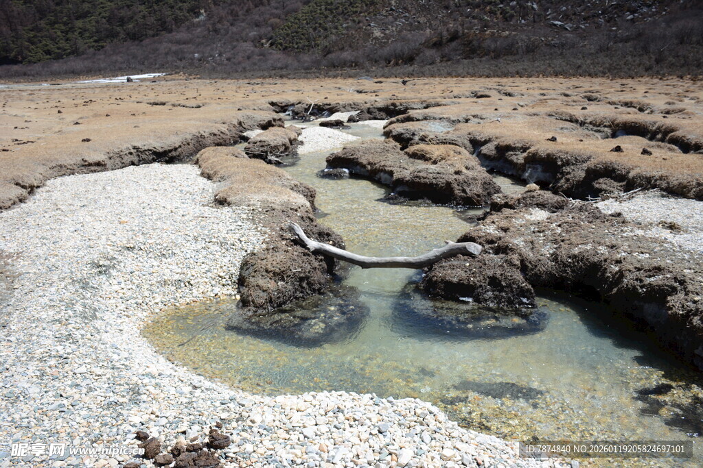 荒凉之地的奇特水坑