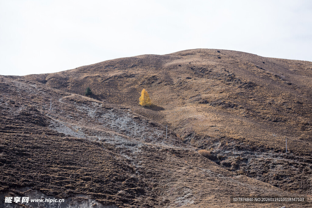 荒坡上的黄色标志物
