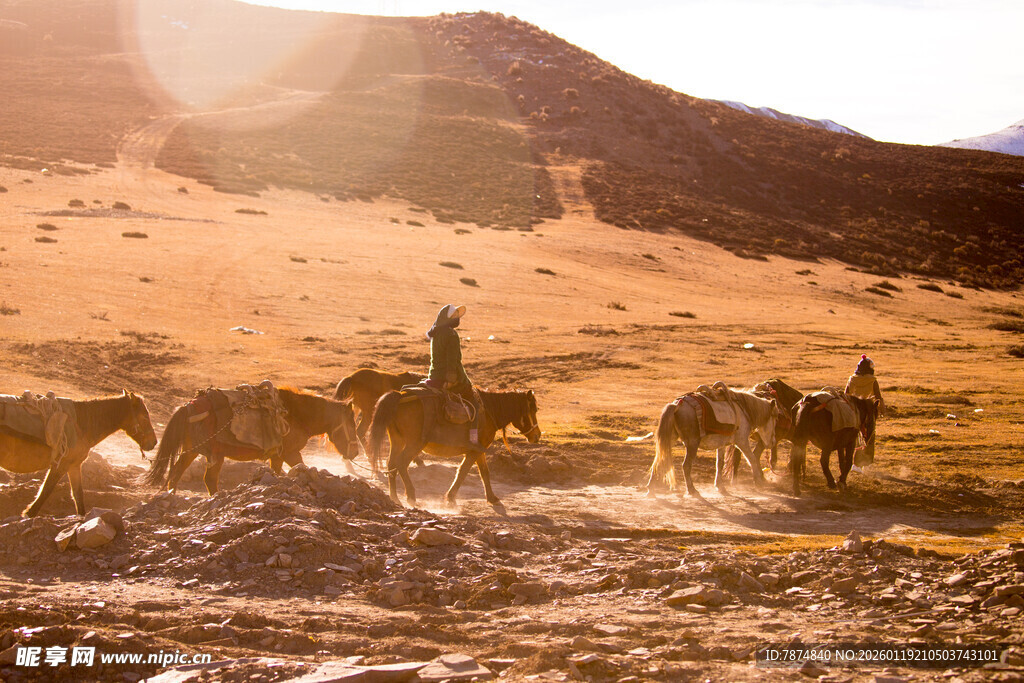 沙漠中策马赶驼的旅人