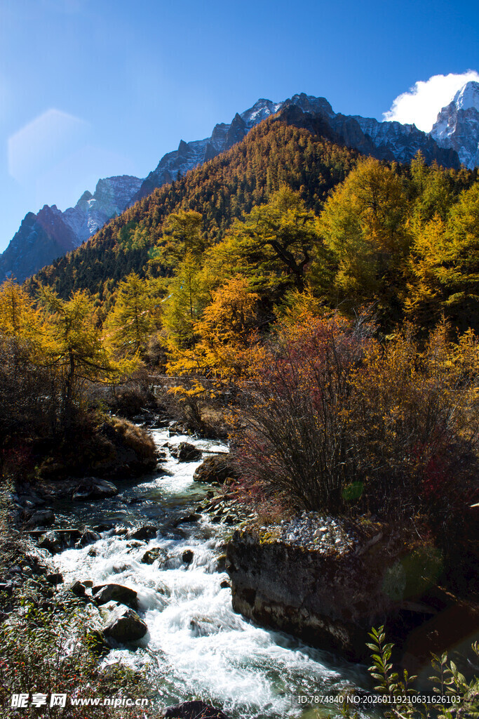 秋日山间溪流美景