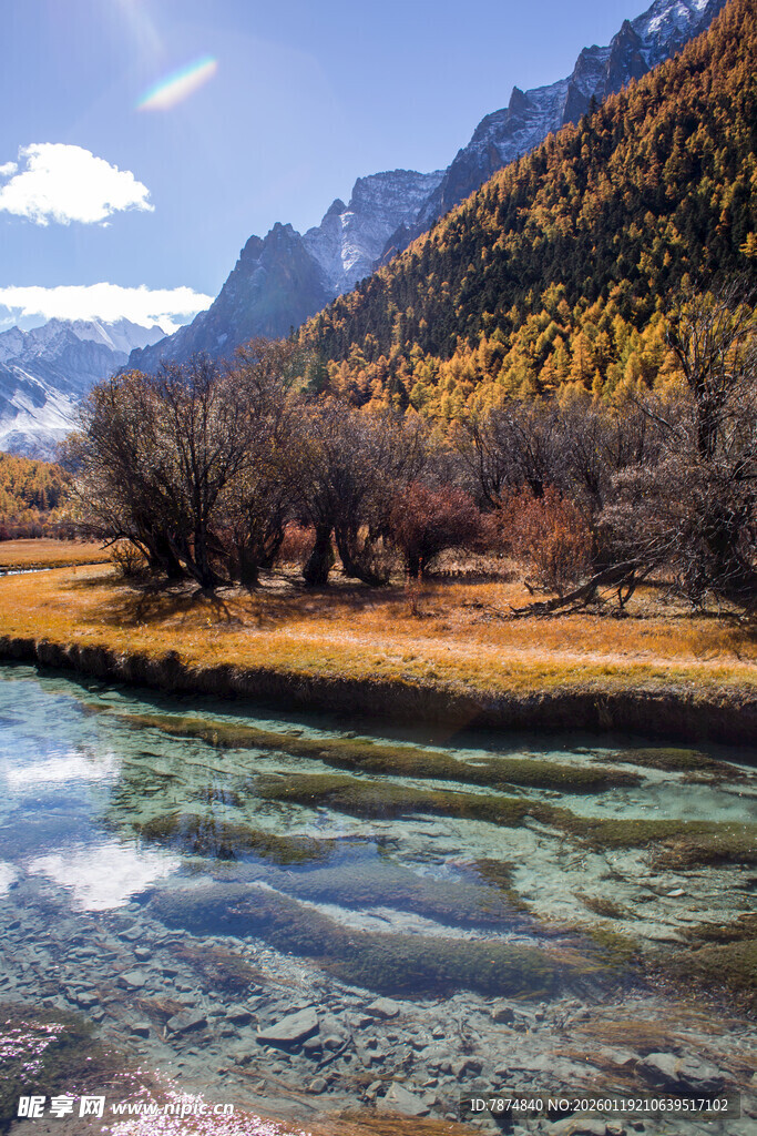 秋日山间清澈溪流美景