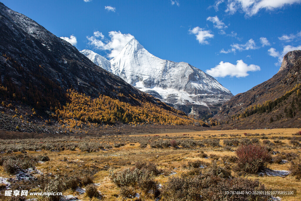 雪山下的广袤原野风光