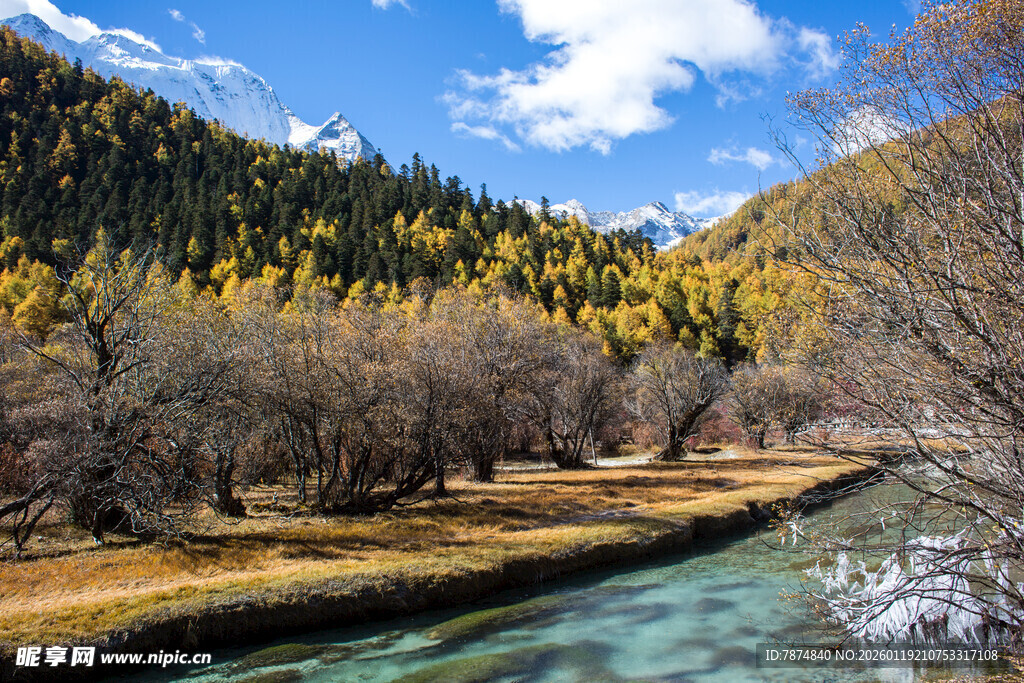 秋日山间溪流美景
