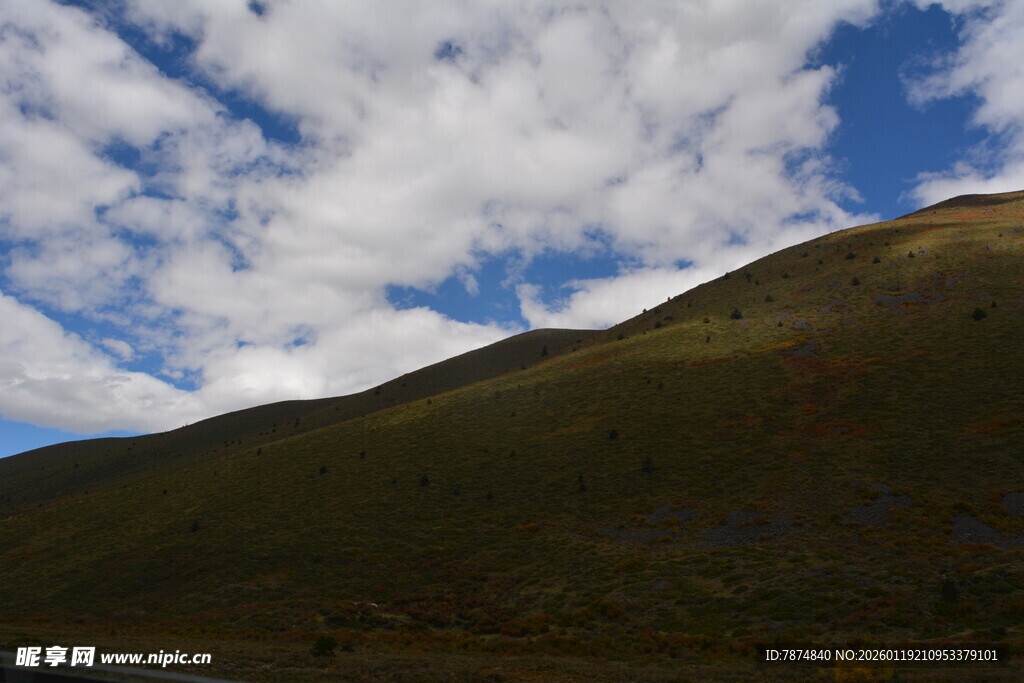 蓝天白云下的葱郁山坡