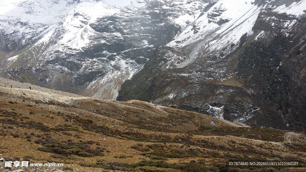 雪山下的开阔山野景观