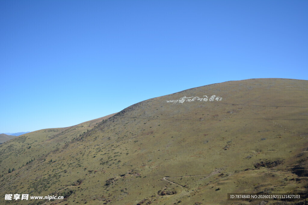 山坡上的白色大字景观