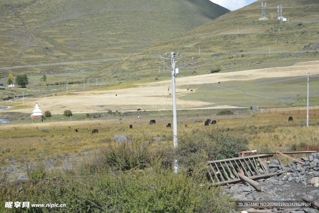 草原牧场风景