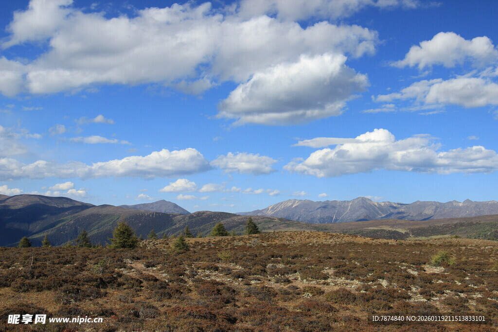 蓝天白云下的山野风光
