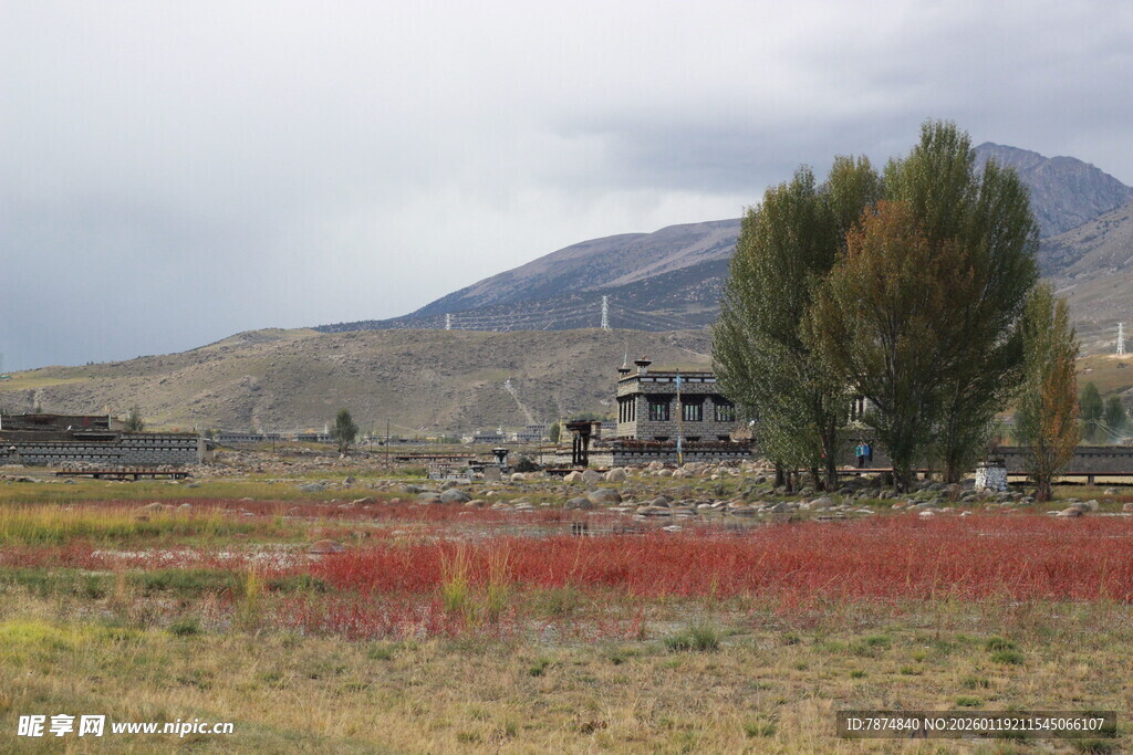 山间红草地与树木风景