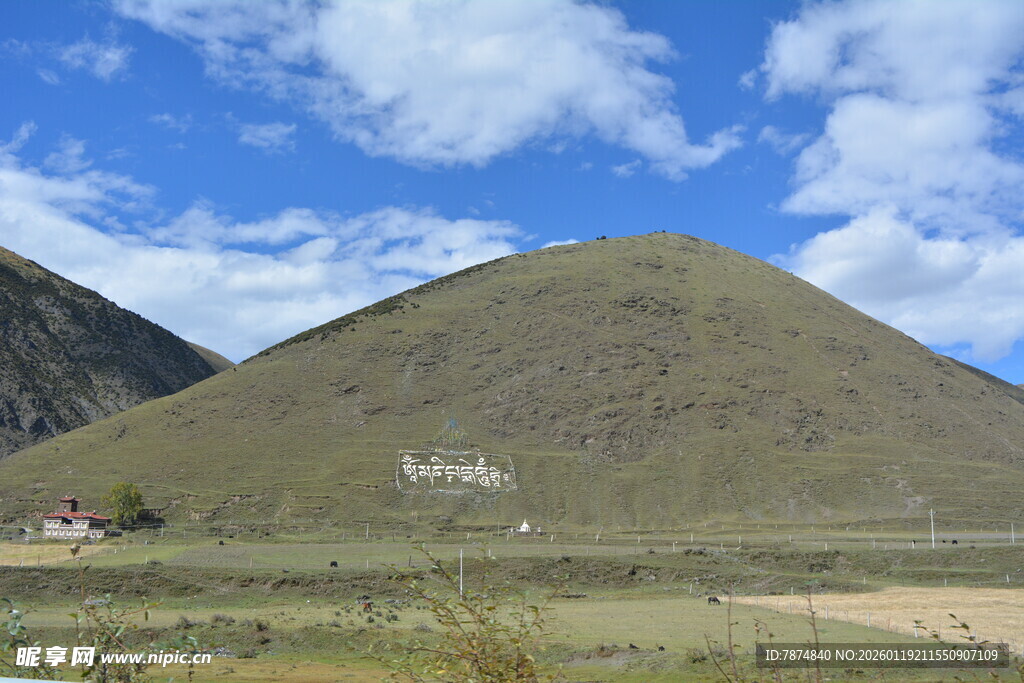 青山蓝天白云下的草地景观